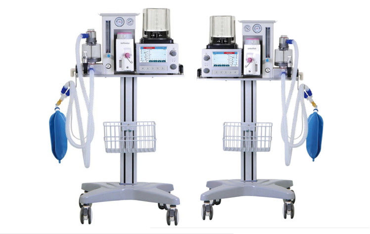 DM6B पशु चिकित्सा एनेस्थीसिया वेंटीलेटर सिस्टम AC 100-240V 7 इंच रंगीन एलसीडी डिस्प्ले